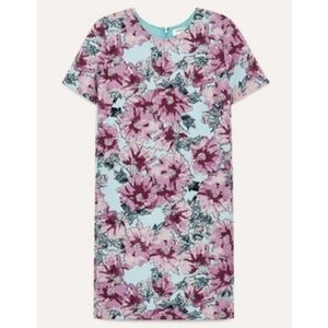 2 for $35 - Babaton Patricio Floral Shift Dress
